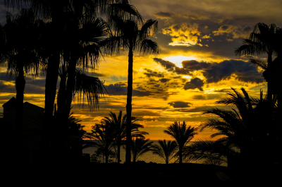 Atardecer tropical en Las Lagunas de Mijas con palmeras en primer plano y vistas al mar Mediterráneo bajo un cielo dorado típico de la Costa del Sol.